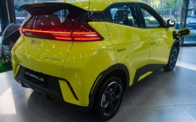 Tesla and BYD Lead Australia’s June EV Surge