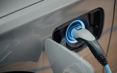 Tesla Expands as BYD Chases Toyota’s Crown