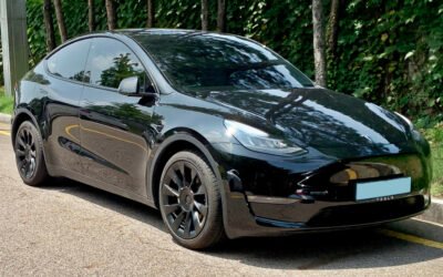 Tesla’s Summer Update Turns Grok Into an EV Copilot