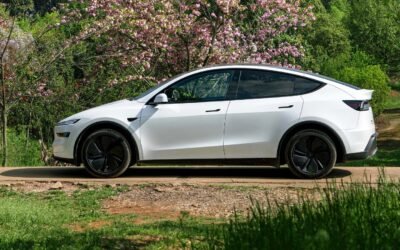 Tesla Model Y Performance Emerges With 659km Range
